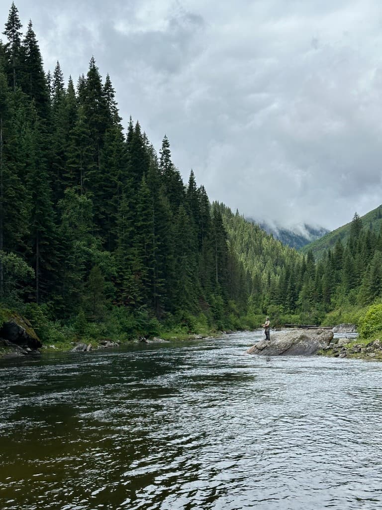 A fly fisher standing on a rock in a Montana river surrounded by forest and misty mountains